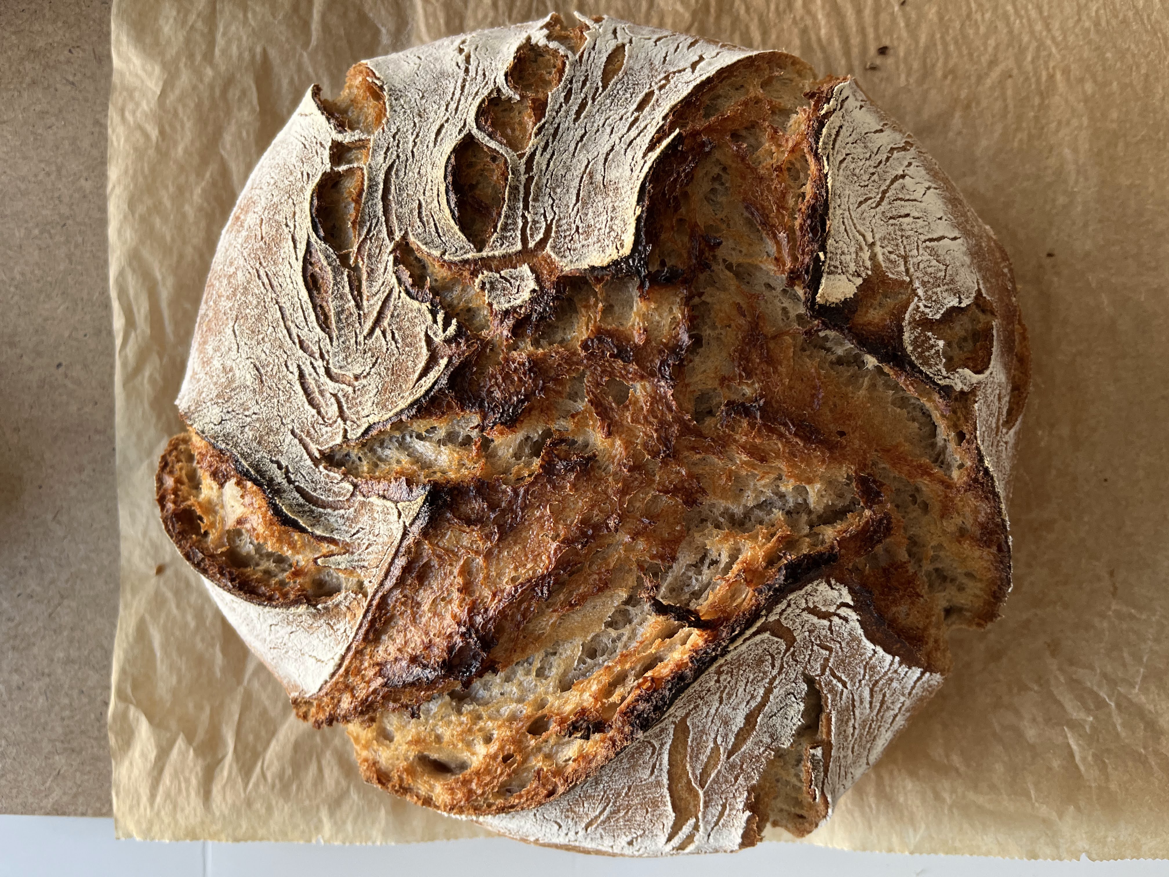 German farmers rye sourdough bread Rotterdam